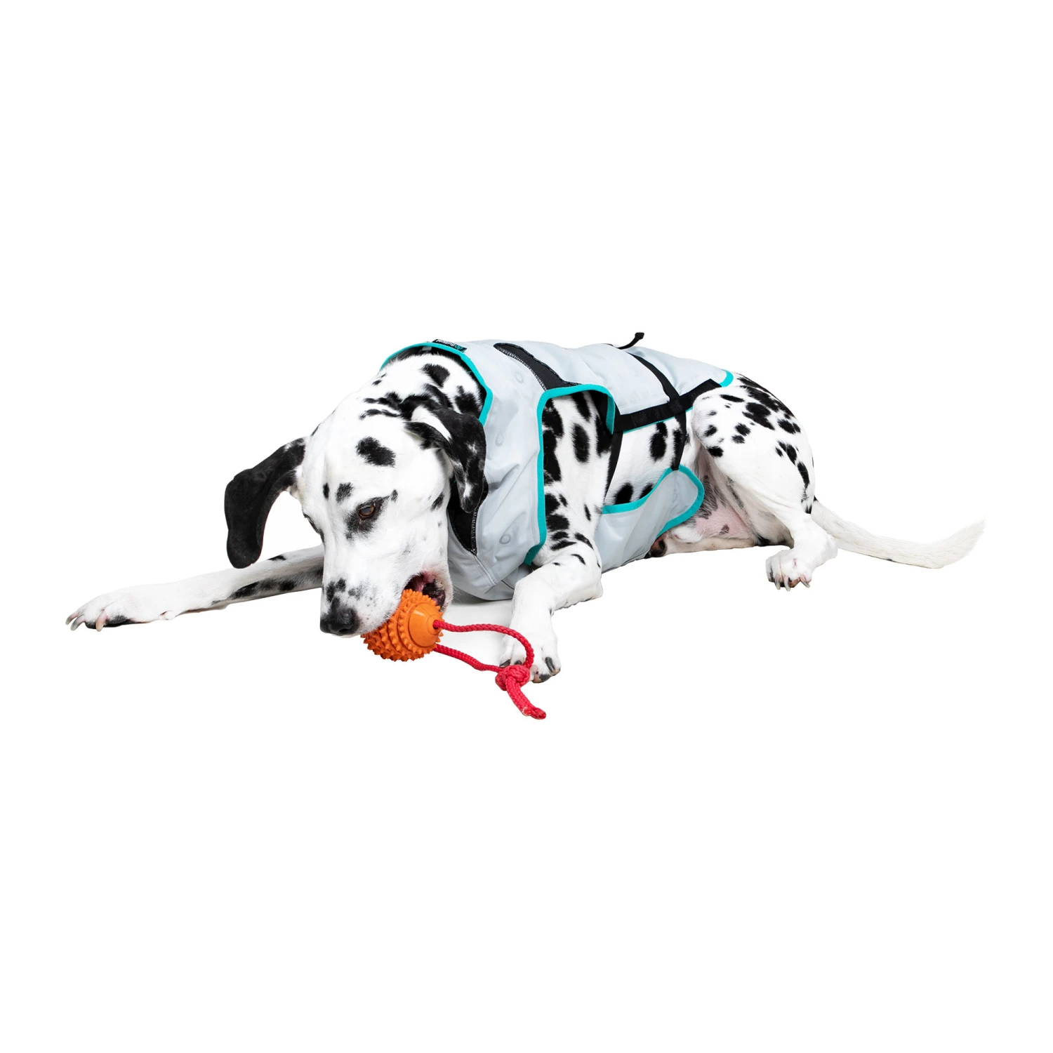 Suitical DRY Cooling Vest 8 Suitical DRY Cooling Vest - Afbeelding 8