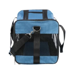 Trixie Ryan Reistas Hond