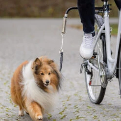 Trixie Fiets-Set -Hondenbenodigdheden Winkel trixie fiets set 178264 1000 none