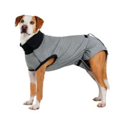 Trixie Operatie Hondenjas -Hondenbenodigdheden Winkel trixie operatie hondenjas 95186 0500 none