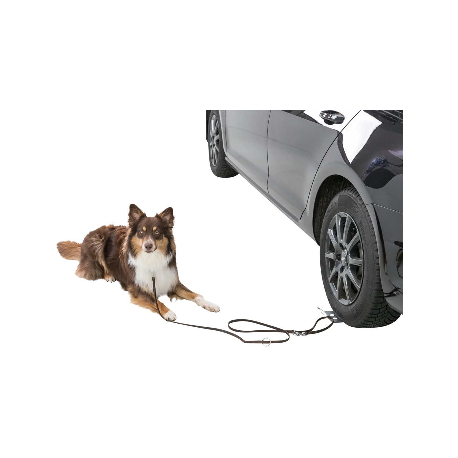 Trixie Oprijplaat Auto 2 Trixie Oprijplaat Auto - Afbeelding 2