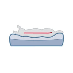 Trixie Vitaal Matras Bendson - Donkergrijs/Lichtgrijs -Hondenbenodigdheden Winkel trixie vitaal matras bendson donkergrijslichtgrijs 178372 1000 none