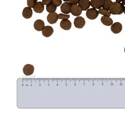 Vetality Hypoallergenic - Hondenvoer 19 Vetality Hypoallergenic - Hondenvoer -Hondenbenodigdheden Winkel vetality hypoallergenic hondenvoer 182338 2000 none