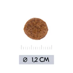 Vetality Hypoallergenic - Hondenvoer 17 Vetality Hypoallergenic - Hondenvoer -Hondenbenodigdheden Winkel vetality hypoallergenic hondenvoer 195473 1000 none