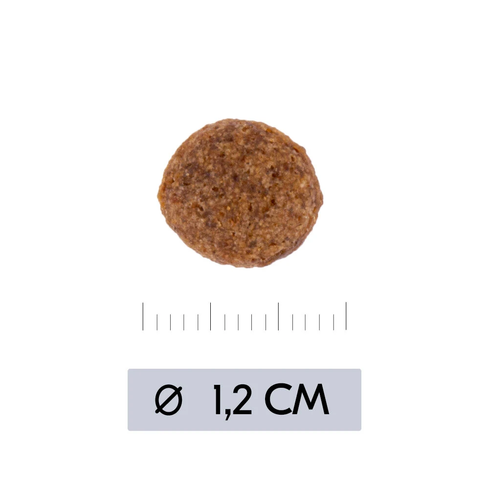 Vetality Hypoallergenic - Hondenvoer 8 Vetality Hypoallergenic - Hondenvoer - Afbeelding 8