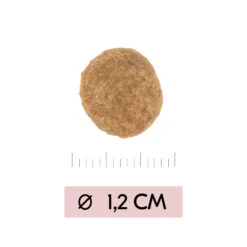 Vetality Skin Support - Hondenvoer -Hondenbenodigdheden Winkel vetality skin support hondenvoer 195452 1000 none