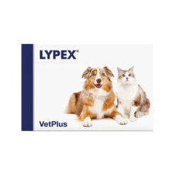 Vetplus Lypex 6 Vetplus Lypex -Hondenbenodigdheden Winkel vetplus lypex 212381 0500 none