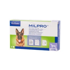 Milpro Hond