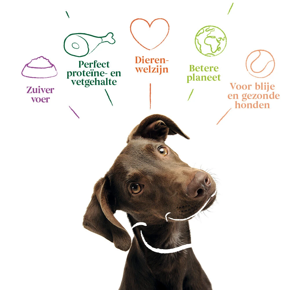 Yarrah - Droogvoer Hond Graanvrij Bio 6 Yarrah - Droogvoer Hond Graanvrij Bio - Afbeelding 6