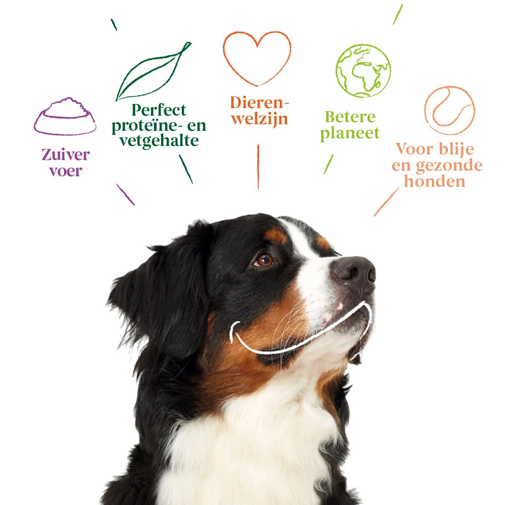 Yarrah - Hondensnack Vega Hondenkoekjes Grote Honden Bio 6 Yarrah - Hondensnack Vega Hondenkoekjes Grote Honden Bio - Afbeelding 6