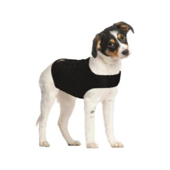 ZenDog Compression Shirt -Hondenbenodigdheden Winkel zendog compression shirt 173056 0500 none